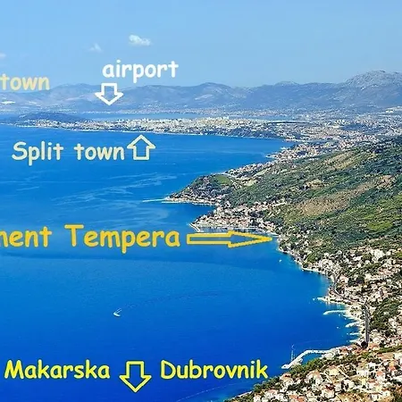 Tempera By The