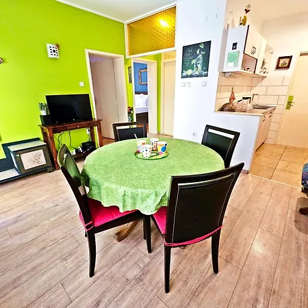 Tempera By The Apartamento *